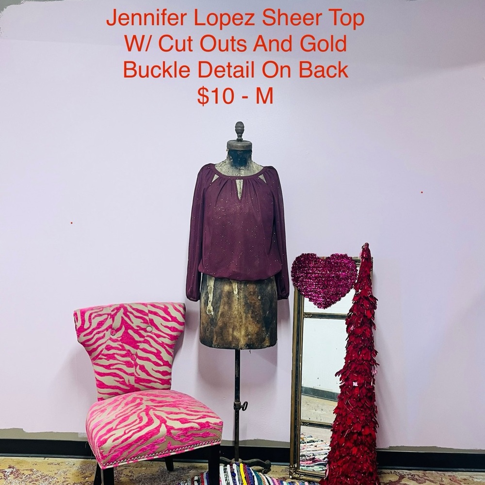Pretty Burgundy Sheer Top